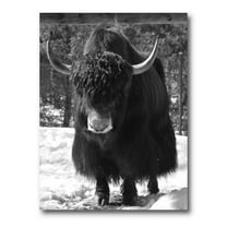 Designart ' Portrait Of Monochrome Wild Bull In Winter Forest I ' Farmhouse Canvas Wall Art Print