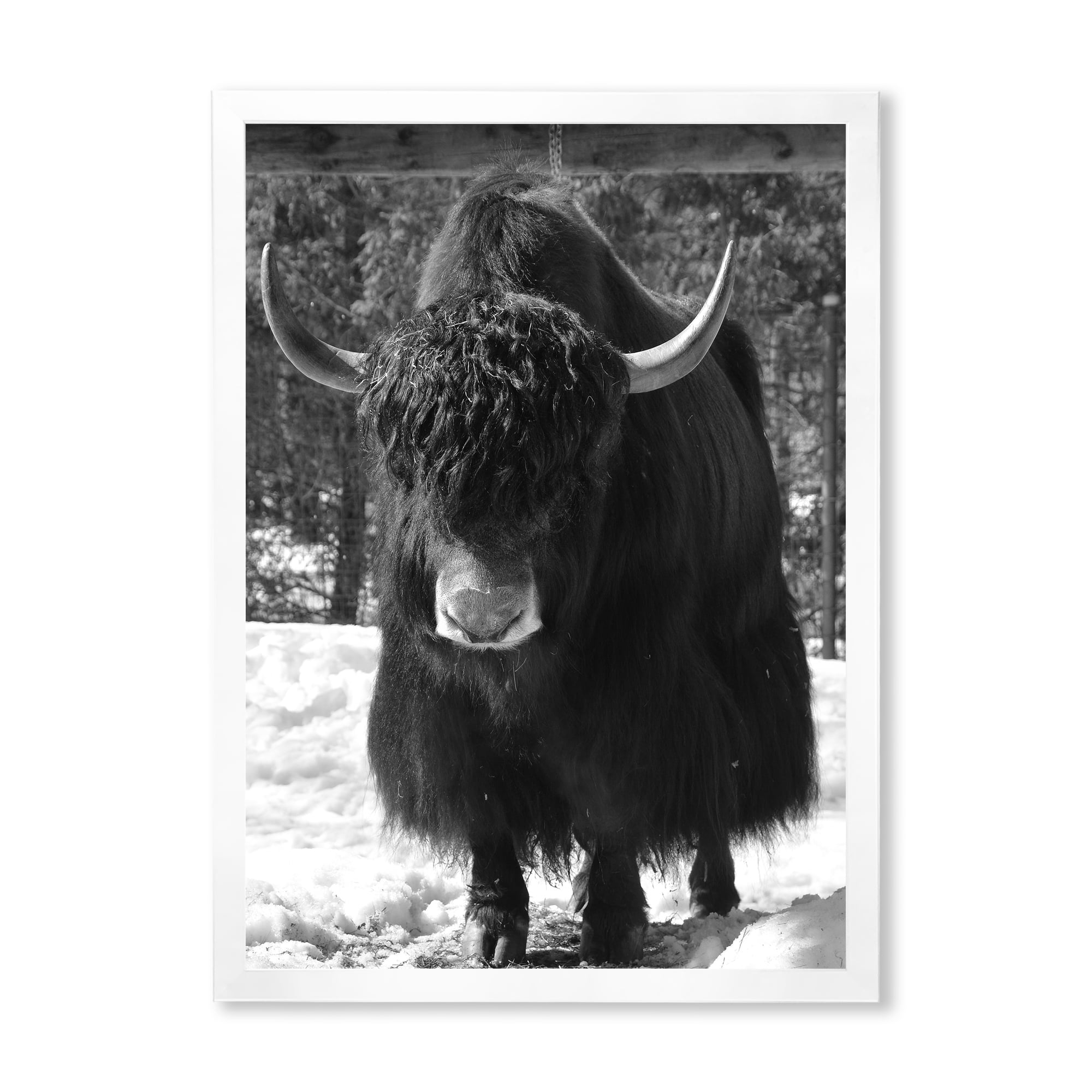 Designart 'Portrait Of Monochrome Wild Bull In Winter Forest I' Farmhouse Framed Art Print
