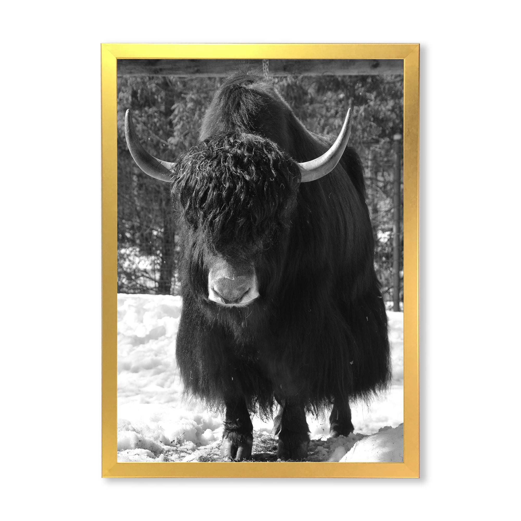 Designart 'Portrait Of Monochrome Wild Bull In Winter Forest I' Farmhouse Framed Art Print