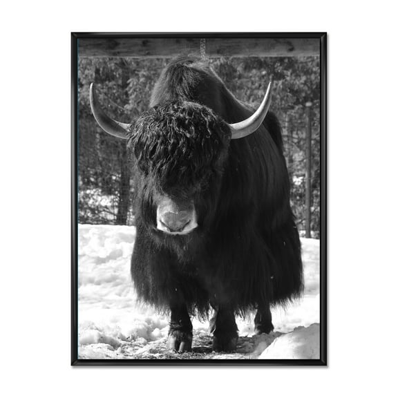 Designart 'Portrait Of Monochrome Wild Bull In Winter Forest I' Farmhouse Framed Canvas Wall Art Print