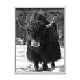 thumbnail image 1 of Designart 'Portrait Of Monochrome Wild Bull In Winter Forest I' Farmhouse Framed Canvas Wall Art Print, 1 of 5