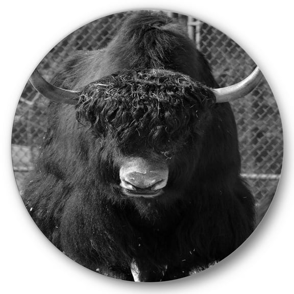 Designart 'Portrait Of Monochrome Wild Bull In Winter Forest II' Farmhouse Circle Metal Wall Art 36x36 - Disc of 36