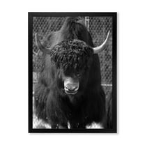 Designart 'Portrait Of Monochrome Wild Bull In Winter Forest II' Farmhouse Framed Art Print