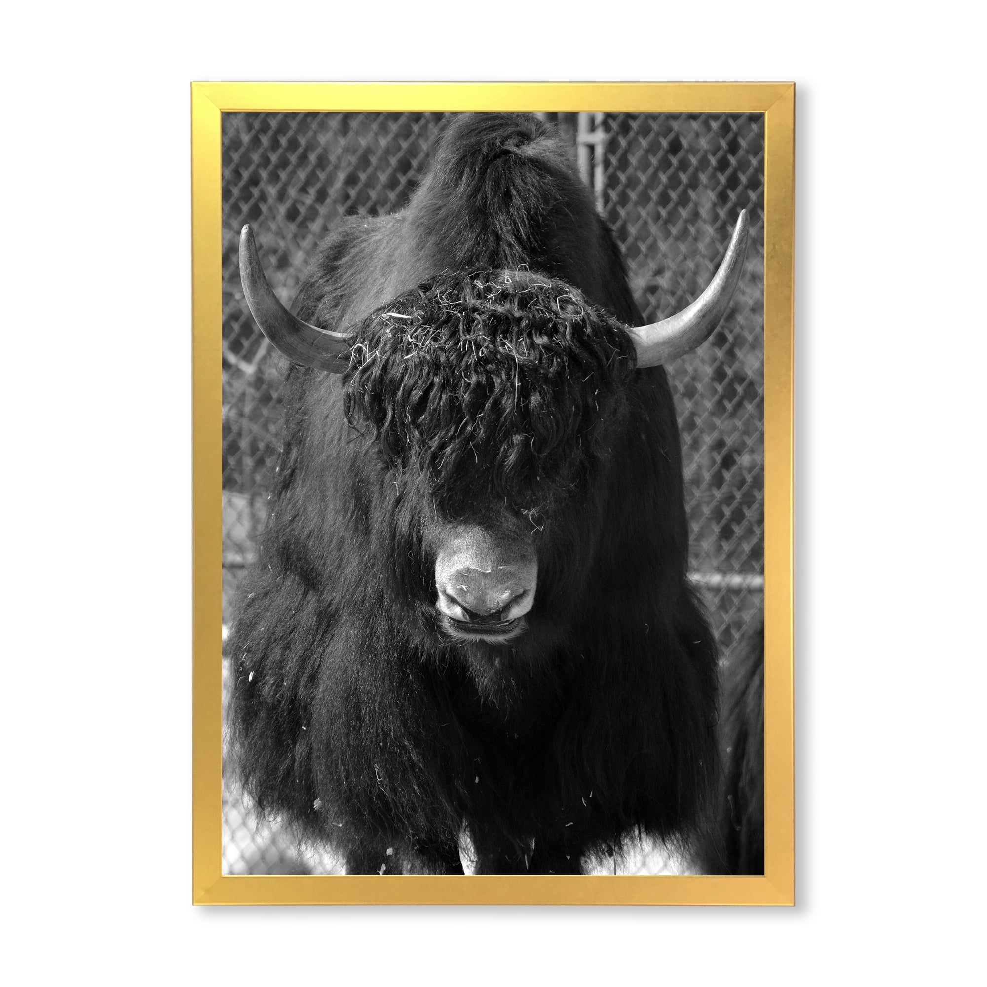 Designart 'Portrait Of Monochrome Wild Bull In Winter Forest II' Farmhouse Framed Art Print