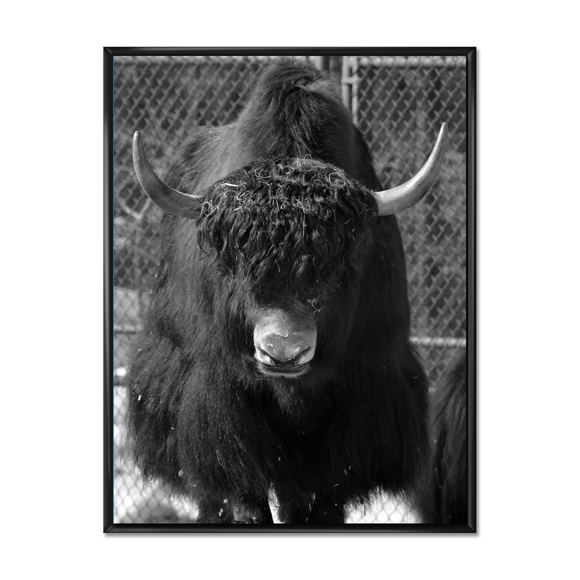 Designart 'Portrait Of Monochrome Wild Bull In Winter Forest II' Farmhouse Framed Canvas Wall Art Print