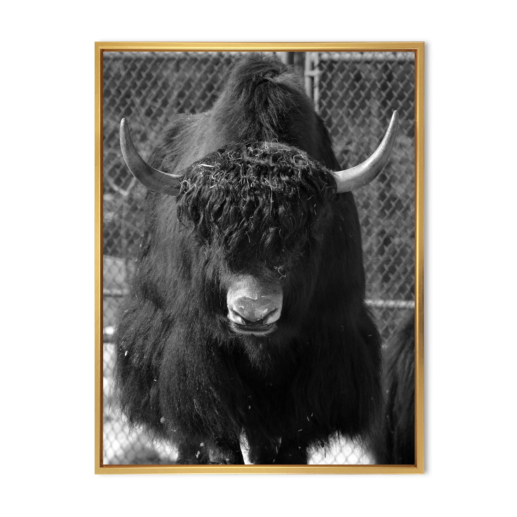 Designart 'Portrait Of Monochrome Wild Bull In Winter Forest II' Farmhouse Framed Canvas Wall Art Print