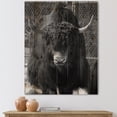 thumbnail image 1 of Designart 'Portrait Of Monochrome Wild Bull In Winter Forest II' Farmhouse Print on Natural Pine Wood, 1 of 5