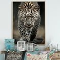 thumbnail image 1 of Designart "Portrait Silent Cheetah Stalk III" Animals Floater Framed Canvas Art Print, 1 of 7