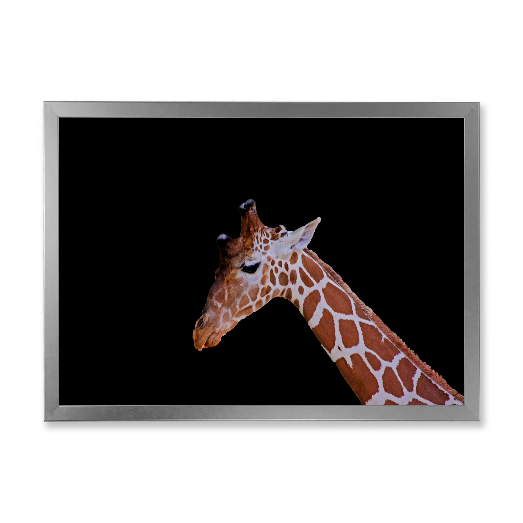 Designart 'Portrait of A Giraffe On Black Background I' Farmhouse Framed Art Print