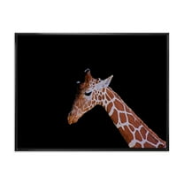 Designart 'Portrait of A Giraffe On Black Background I' Farmhouse Framed Canvas Wall Art Print