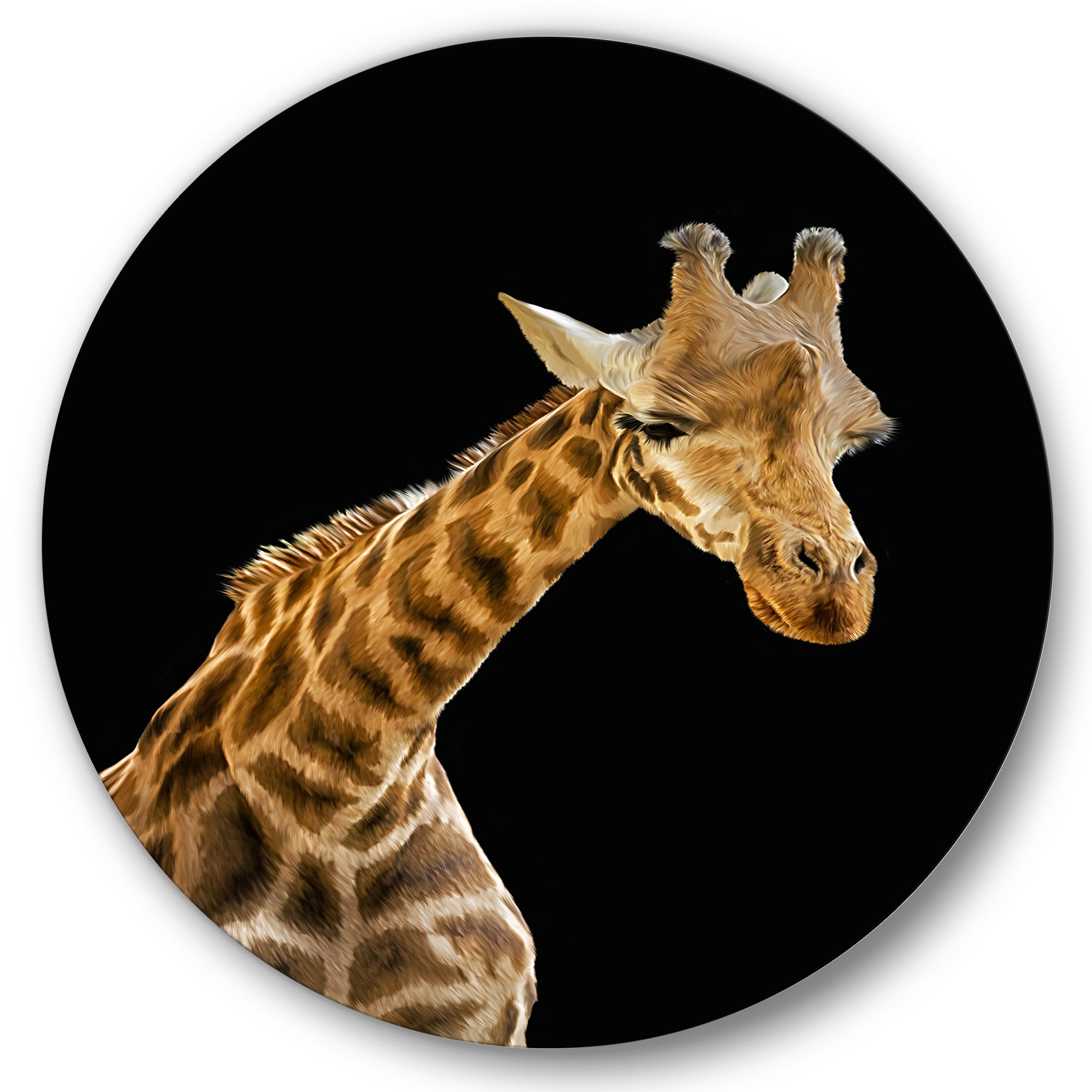 Designart 'Portrait of A Giraffe On Black Background II' Farmhouse Circle Metal Wall Art 23x23 - Disc of 23