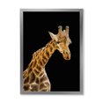 thumbnail image 1 of Designart 'Portrait of A Giraffe On Black Background II' Farmhouse Framed Art Print, 1 of 4