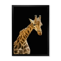 Designart 'Portrait of A Giraffe On Black Background II' Farmhouse Framed Art Print