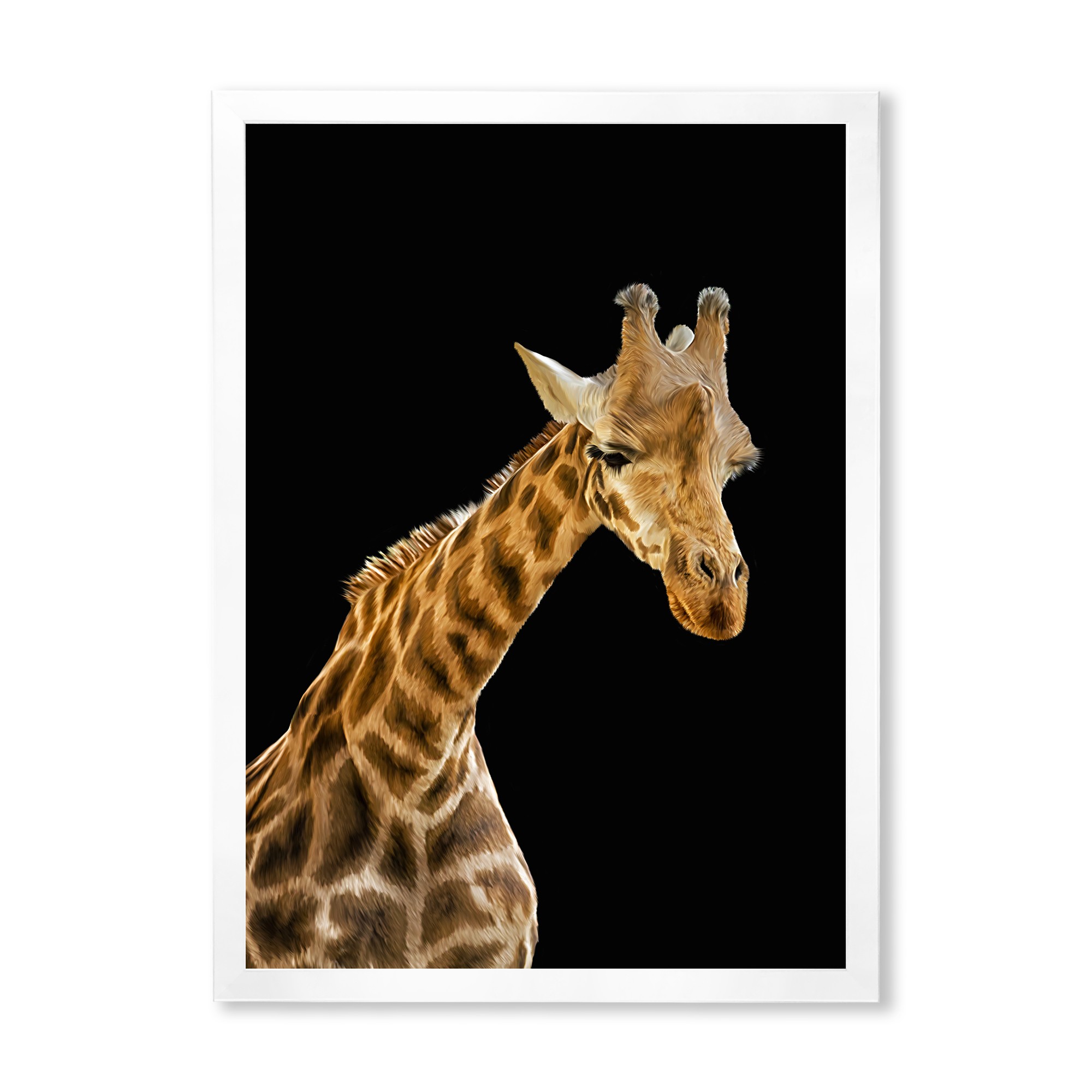 Designart 'Portrait of A Giraffe On Black Background II' Farmhouse Framed Art Print