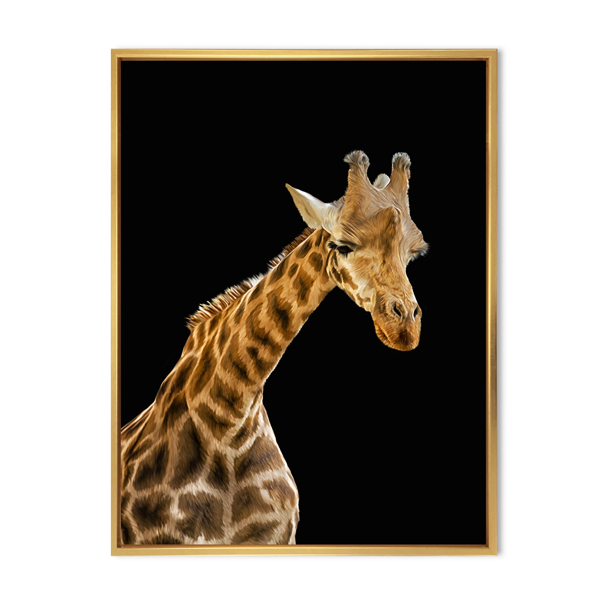 Designart 'Portrait of A Giraffe On Black Background II' Farmhouse Framed Canvas Wall Art Print