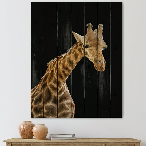 Designart 'Portrait of A Giraffe On Black Background II' Farmhouse Print on Natural Pine Wood