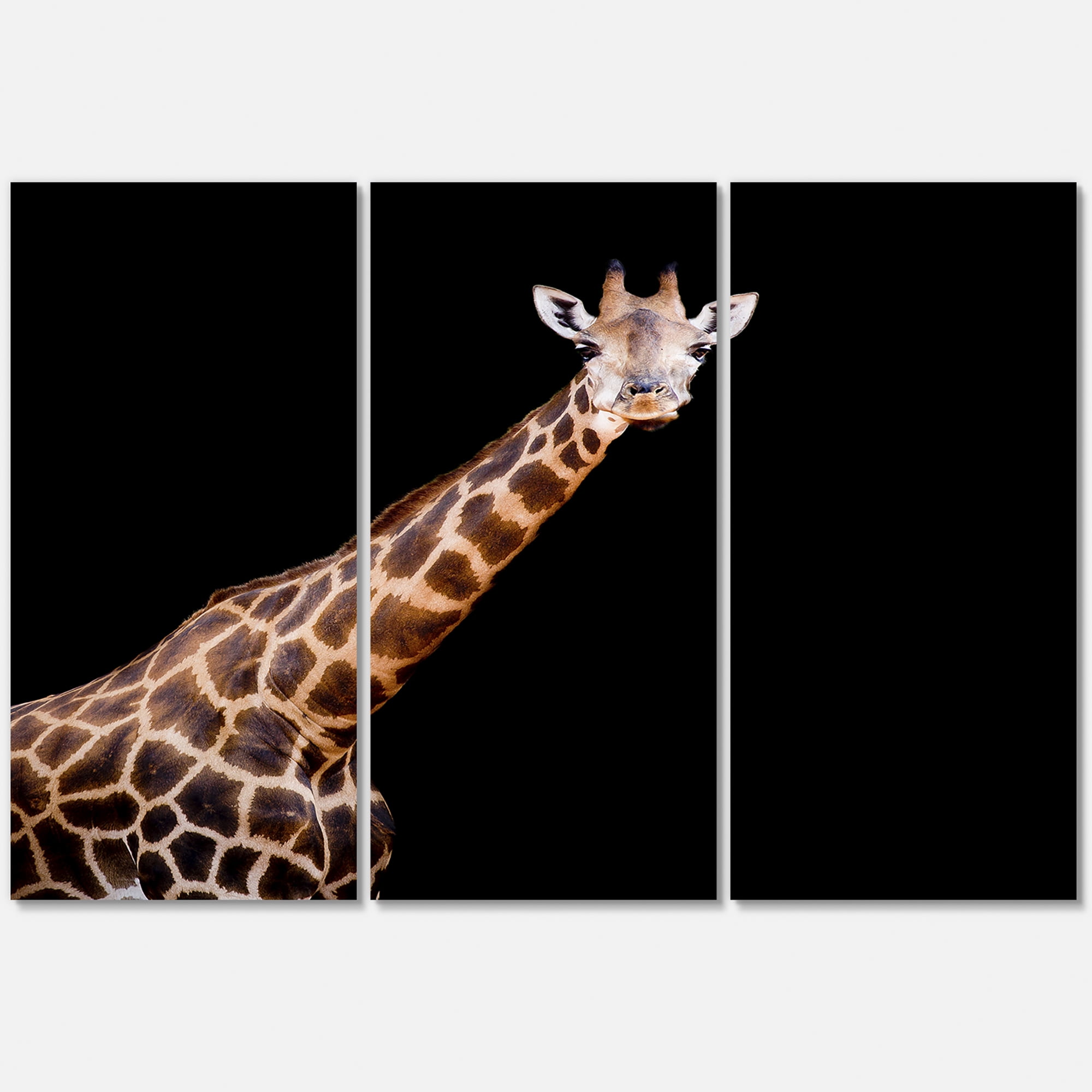 Designart ' Portrait of A Giraffe On Black Background III ' Farmhouse Canvas Wall Art Print