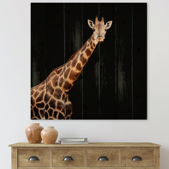 Designart 'Portrait of A Giraffe On Black Background III' Farmhouse Print on Natural Pine Wood