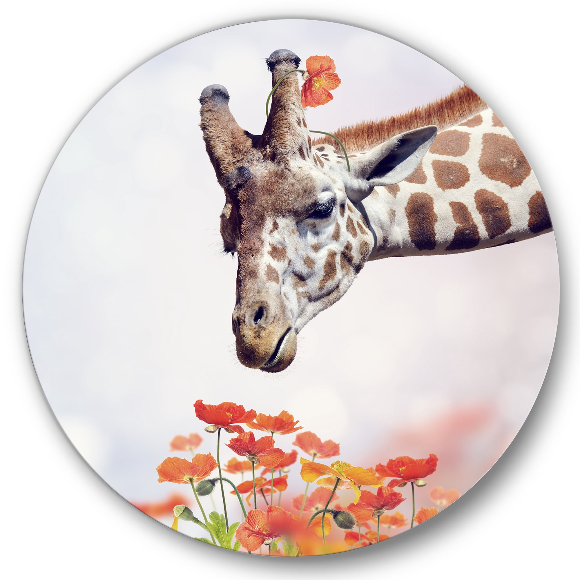 Designart 'Portrait of A Giraffe With Orange Flowers' Farmhouse Circle Metal Wall Art 23x23 - Disc of 23