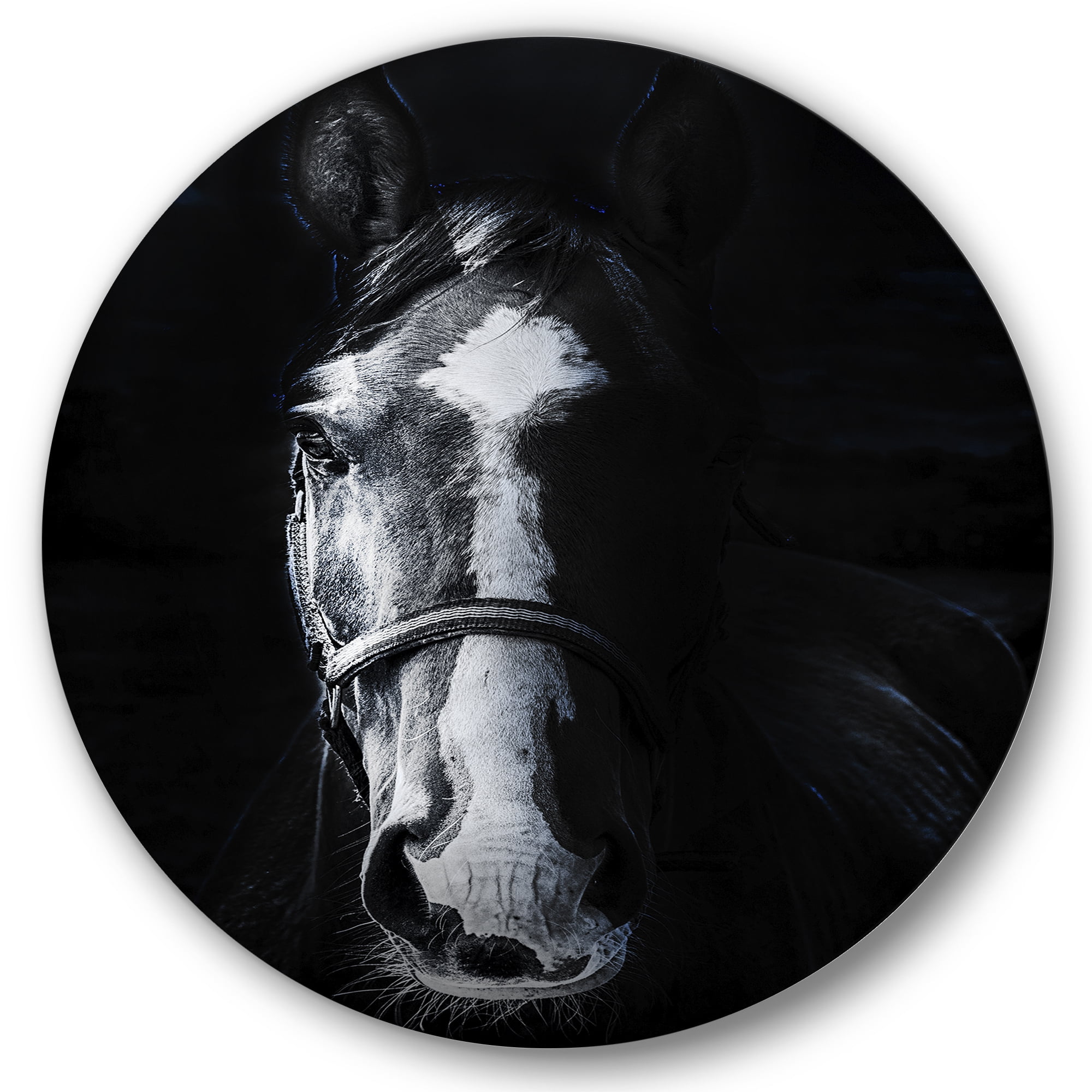 Designart 'Portrait of Horse Staring Sinister' Farmhouse Circle Metal Wall Art 11x11 - Disc of 11