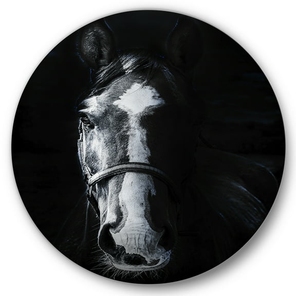 Designart 'Portrait of Horse Staring Sinister' Farmhouse Circle Metal Wall Art 36x36 - Disc of 36