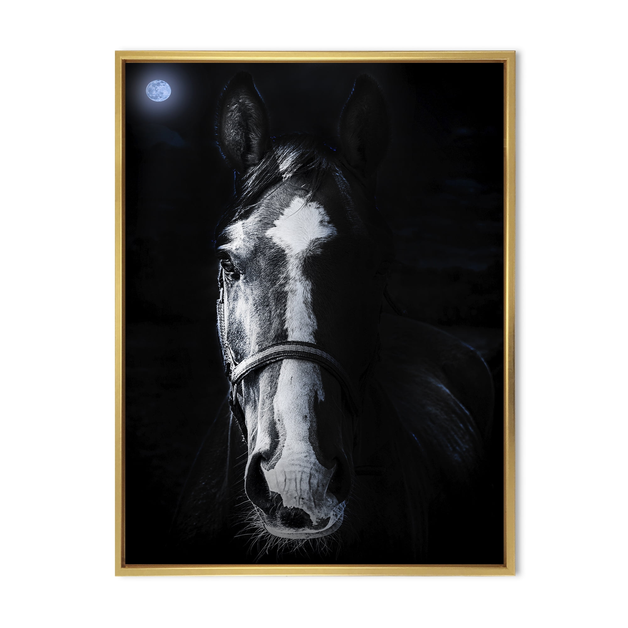 Designart 'Portrait of Horse Staring Sinister' Farmhouse Framed Canvas Wall Art Print
