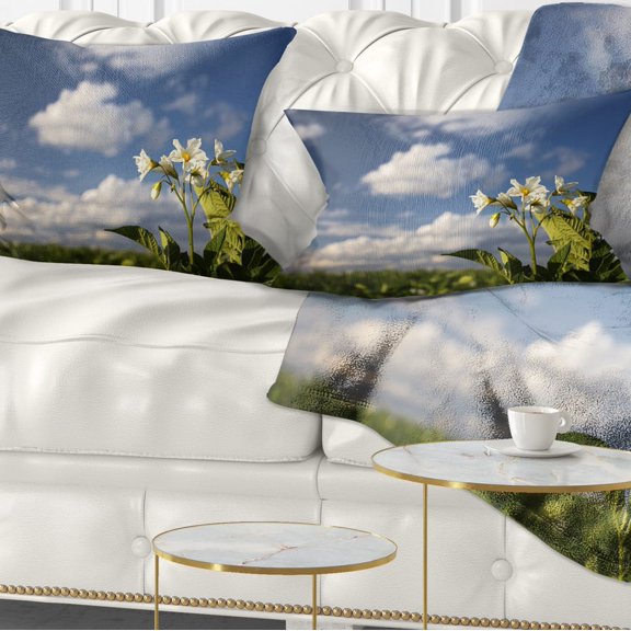 Designart Potato Plant Flowers - Landscape Printed Throw Pillow - 12x20