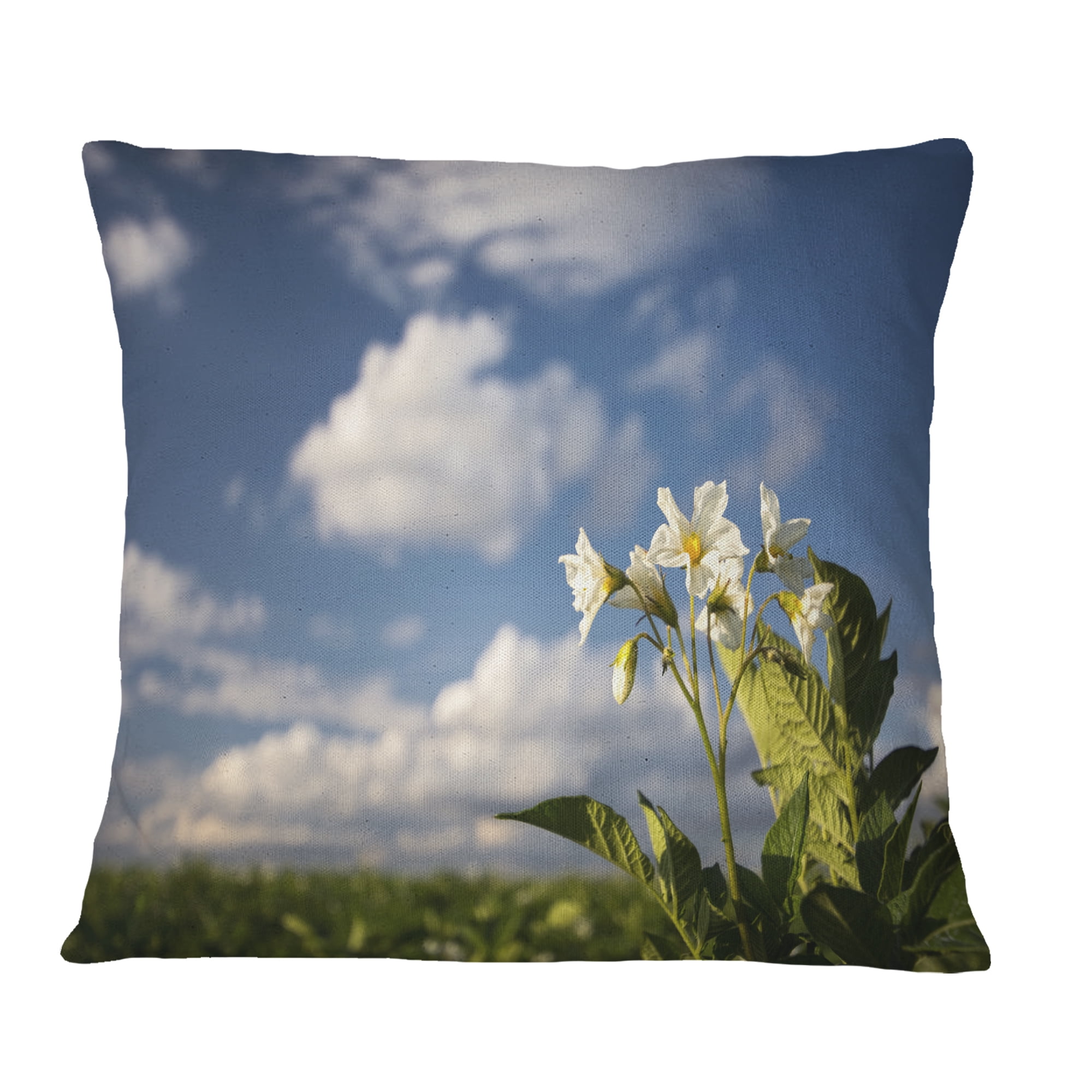 Designart Potato Plant Flowers - Landscape Printed Throw Pillow - 16x16
