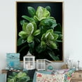 thumbnail image 1 of Designart "Precision In Bloom" Rhododendron Floater Framed Wall Art Prints, 1 of 5