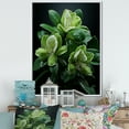 thumbnail image 1 of Designart "Precision In Bloom" Rhododendron Floater Framed Wall Art Prints, 1 of 5