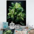 thumbnail image 1 of Designart "Precision In Bloom" Rhododendron Floater Framed Wall Art Prints, 1 of 5