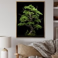 thumbnail image 1 of Designart "Pure Pine Essence In Woods I" Tree Pine Floater Framed Canvas Art Print, 1 of 5