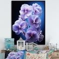 thumbnail image 1 of Designart "Purple Flowers Pansies Black" Floral Floater Framed Wall Decor, 1 of 7