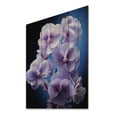 thumbnail image 1 of Designart "Purple Flowers Pansies Black" Floral Print on Natural Pine Wood, 1 of 5