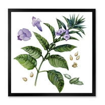 Designart 'Purple Sesame Flowers WIth Green Leaves On White' Traditional Framed Art Print