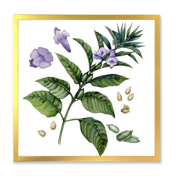 Designart 'Purple Sesame Flowers WIth Green Leaves On White' Traditional Framed Art Print