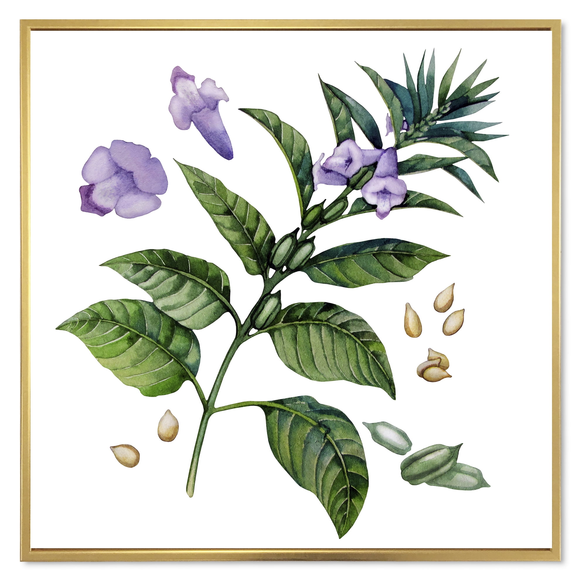 Designart 'Purple Sesame Flowers WIth Green Leaves On White' Traditional Framed Canvas Wall Art Print