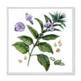 thumbnail image 1 of Designart 'Purple Sesame Flowers WIth Green Leaves On White' Traditional Framed Canvas Wall Art Print, 1 of 5