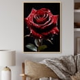 thumbnail image 1 of Designart "Rain Drops On Red Rose gracefulness" Floral Floater Framed Wall Art Print, 1 of 7