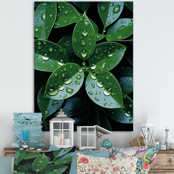 Designart "Rain-Kissed Botanical" Abstract Botanicals Canvas Wall Art