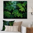 thumbnail image 1 of Designart "Rainforest Leaves Beneath An Emerald Canopy" Leaves Canvas Art Print, 1 of 1