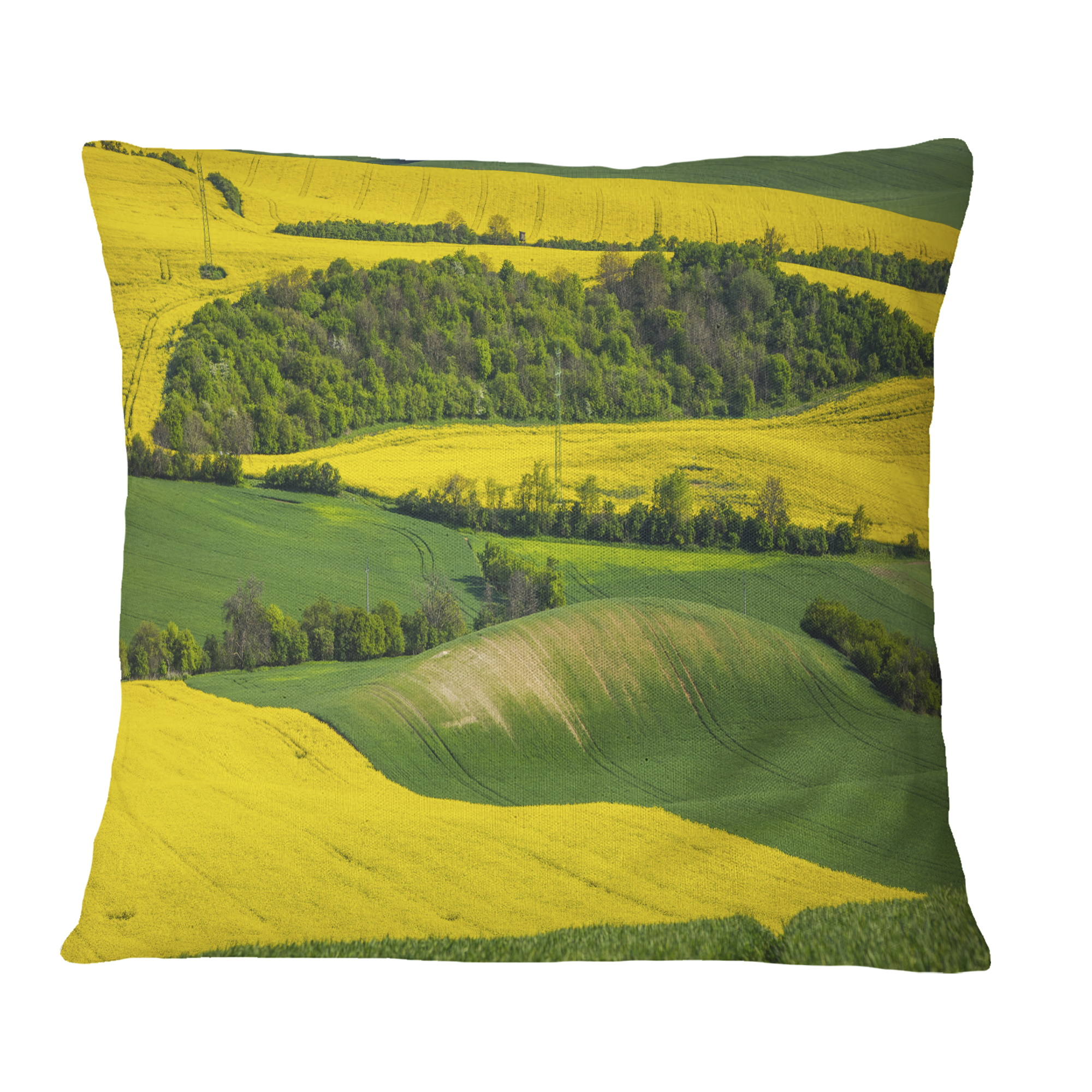 Designart Rapeseed Fields and Green Wheat - Landscape Printed Throw Pillow - 16x16