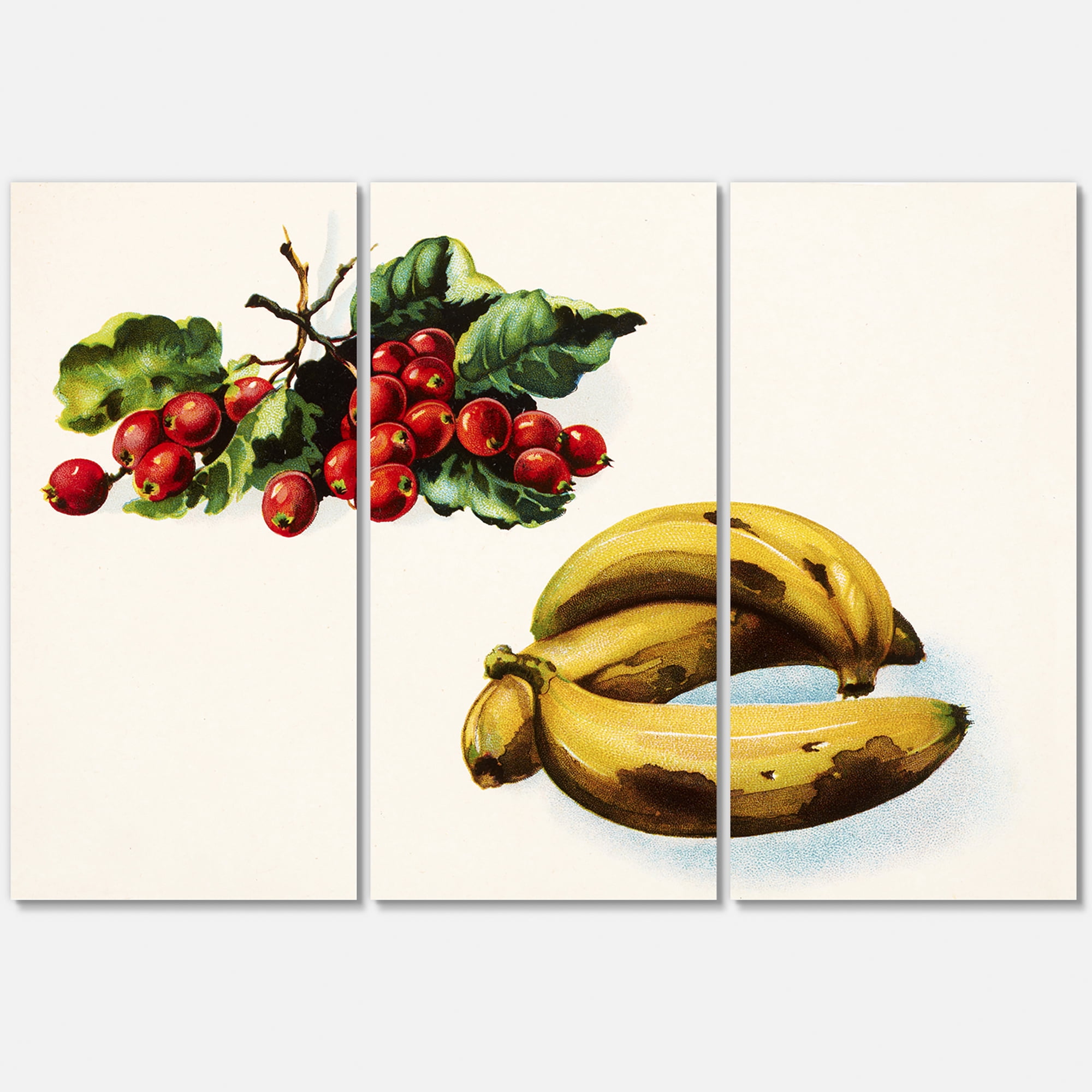 Designart ' Red Berries and Banana ' Farmhouse Canvas Wall Art Print