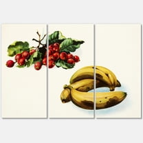 Designart ' Red Berries and Banana ' Farmhouse Canvas Wall Art Print