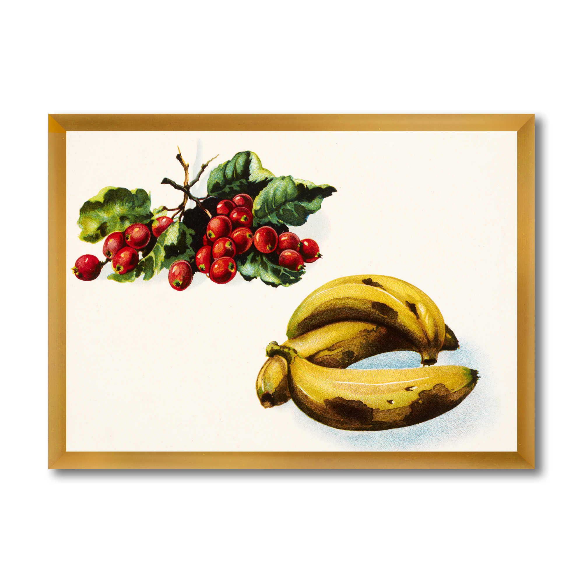 Designart 'Red Berries and Banana' Farmhouse Framed Art Print