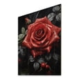 thumbnail image 1 of Designart "Red Black Rose magic Beauty II" Floral Print on Natural Pine Wood, 1 of 5
