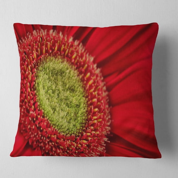 Designart Red Daisy Gerbera Flower Close up - Flowers Throw Pillowwork - 16x16