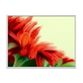 thumbnail image 1 of Designart 'Red Floral Brush Strokes On Green' Traditional Framed Canvas Wall Art Print, 1 of 5