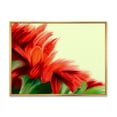 thumbnail image 1 of Designart 'Red Floral Brush Strokes On Green' Traditional Framed Canvas Wall Art Print, 1 of 5