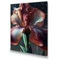 thumbnail image 1 of Designart Red Gladiolus Flowers I Canvas Wall Art, 1 of 5